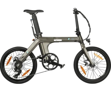 FIIDO D21 Folding Electric Bike