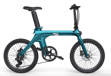 Fiido X 250W Folding Electric Bike
