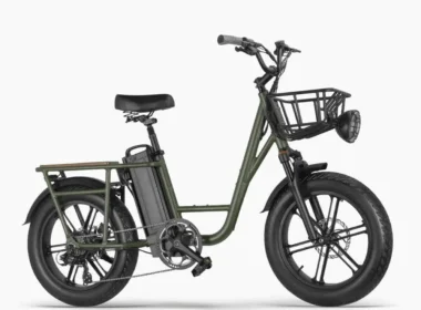 Fiido T1 Pro Electric Cargo Bike