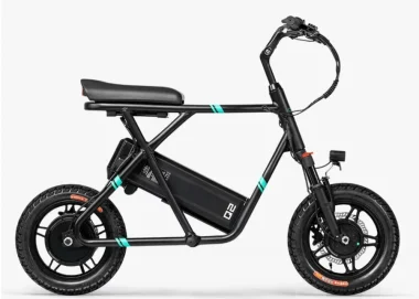 Fiido Q2 Non Foldable Long Range E-Bike