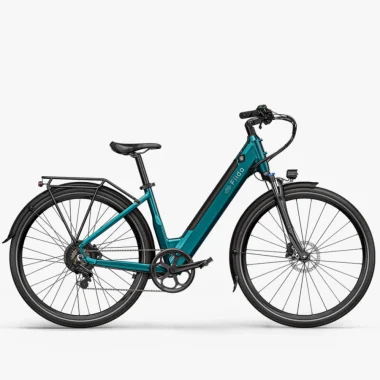 Fiido C11 Smart City E-bike
