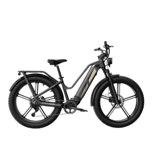 Electric Mountain Bike