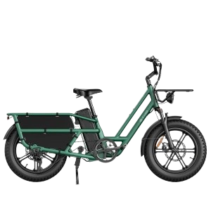 Electric Cargo Bike